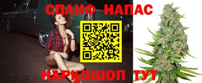 дмт Обнинск